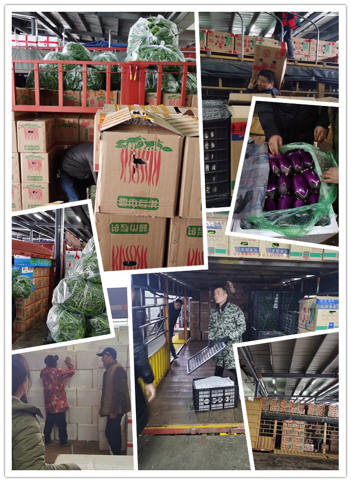 J9集团直营·(中国)官方网站