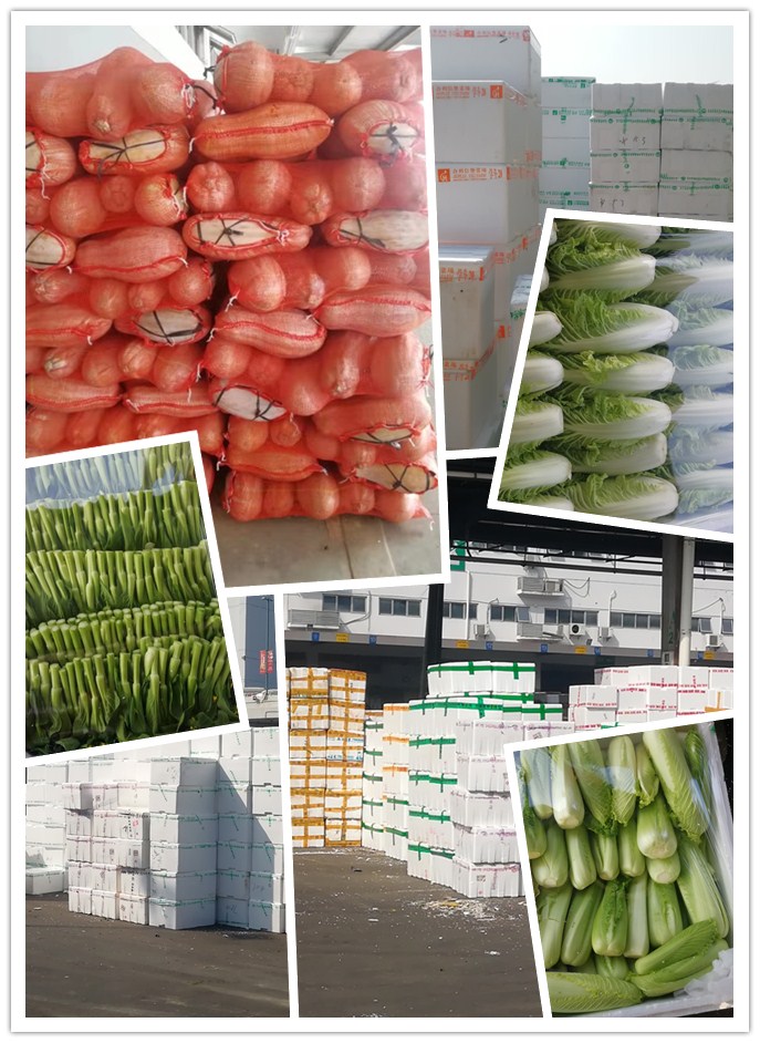 J9集团直营·(中国)官方网站