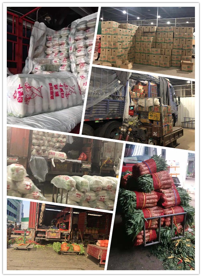 J9集团直营·(中国)官方网站