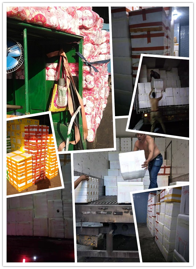 J9集团直营·(中国)官方网站