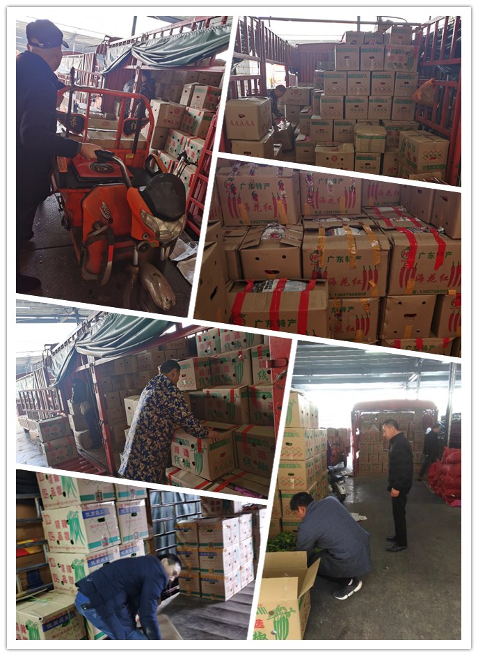 J9集团直营·(中国)官方网站