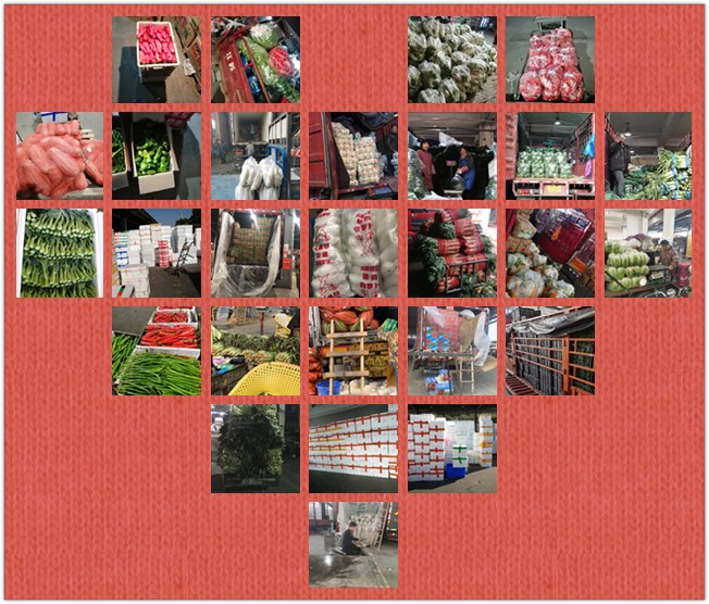 J9集团直营·(中国)官方网站