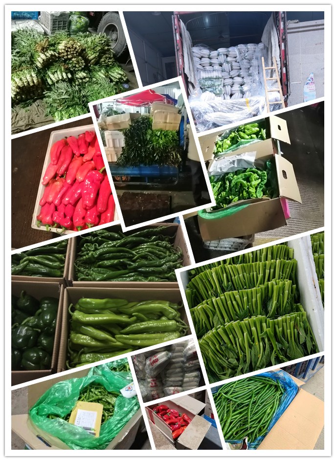 J9集团直营·(中国)官方网站