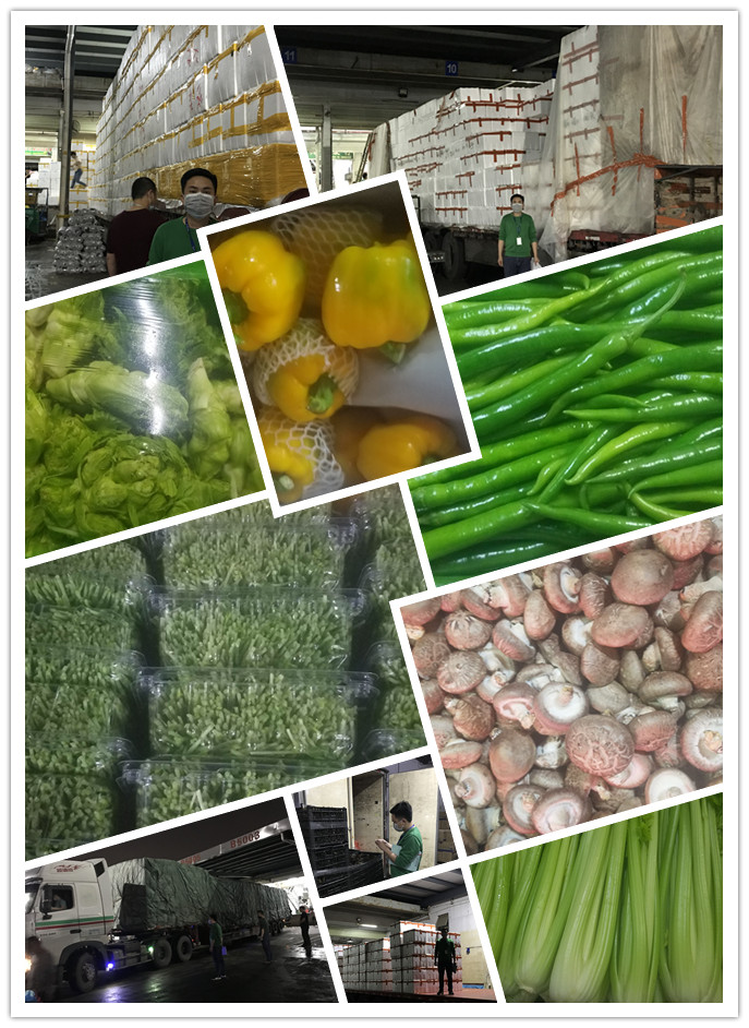 J9集团直营·(中国)官方网站