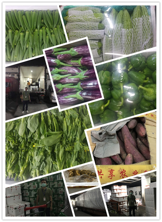 J9集团直营·(中国)官方网站