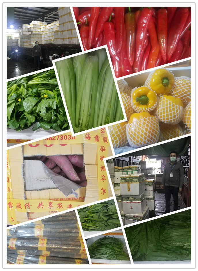 J9集团直营·(中国)官方网站