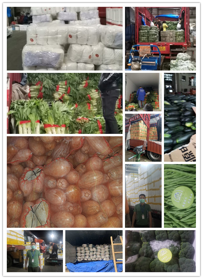 J9集团直营·(中国)官方网站