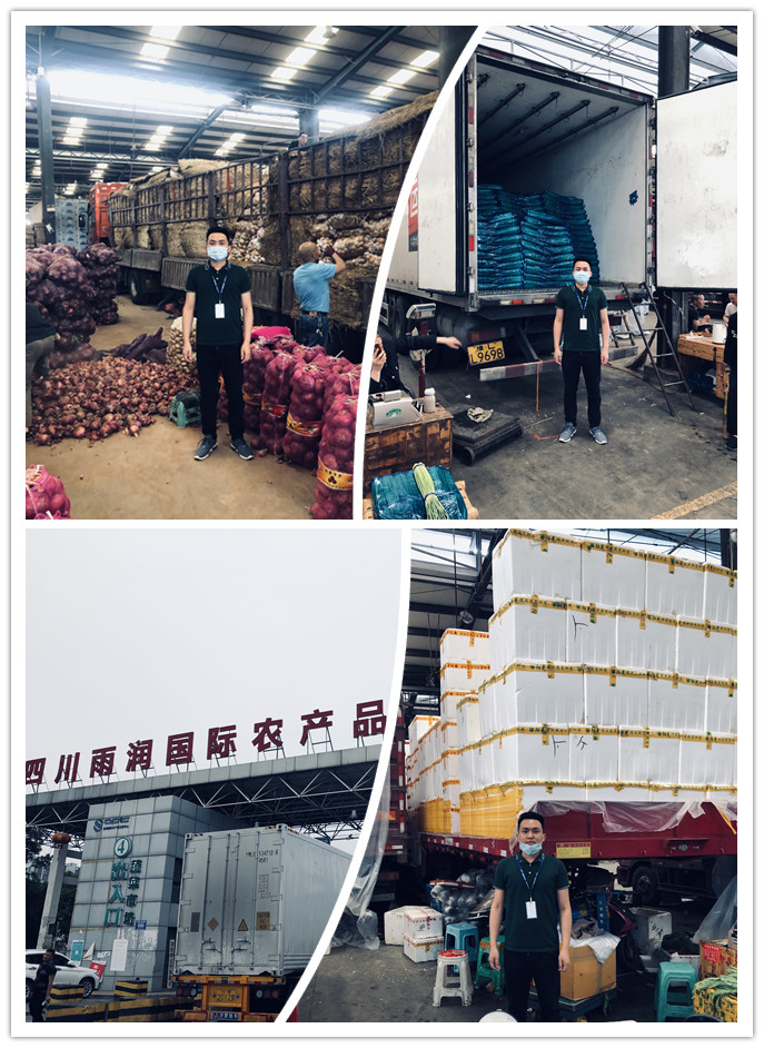 J9集团直营·(中国)官方网站