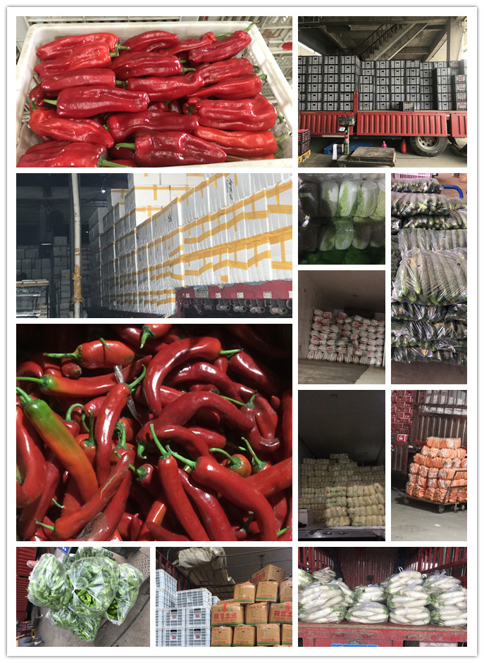 J9集团直营·(中国)官方网站