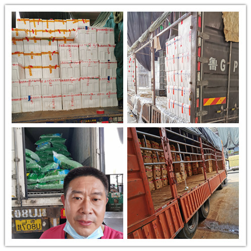 J9集团直营·(中国)官方网站