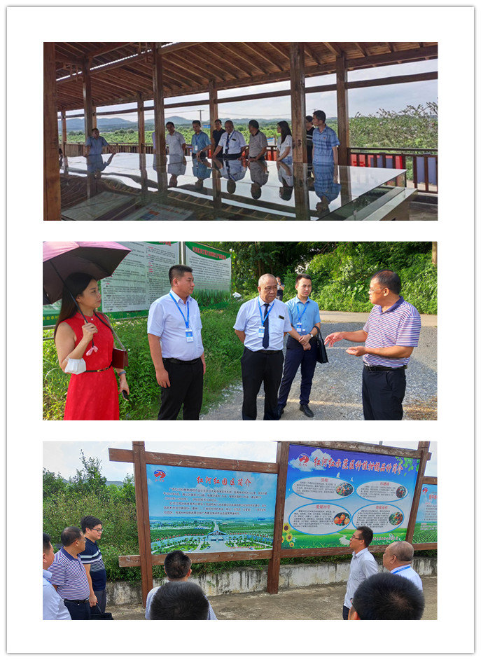 J9集团直营·(中国)官方网站