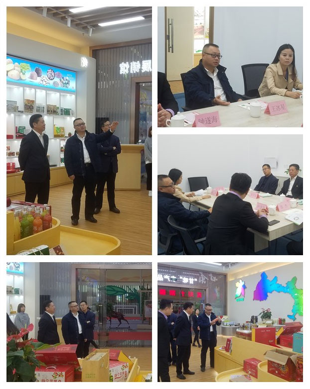 J9集团直营·(中国)官方网站