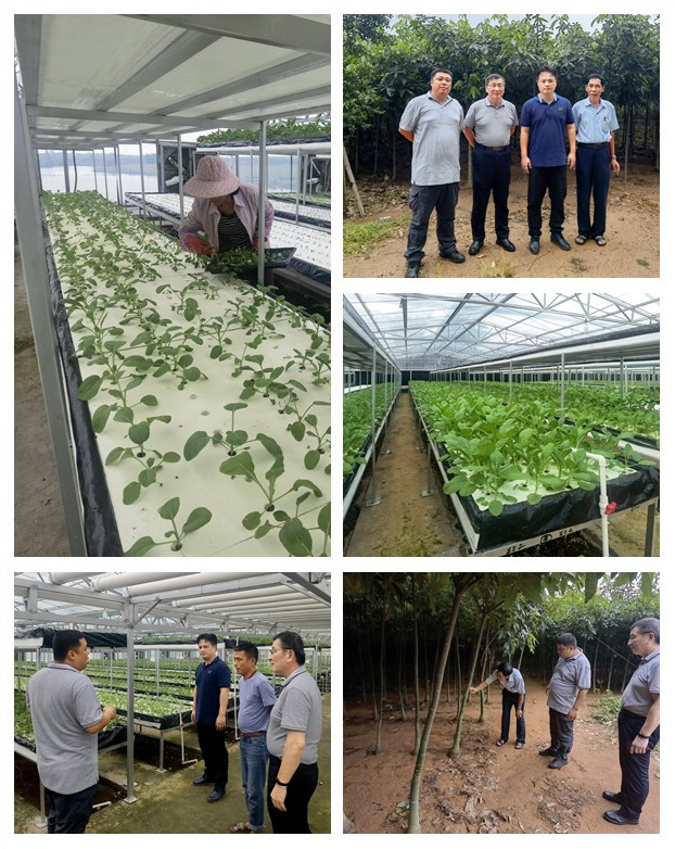 J9集团直营·(中国)官方网站