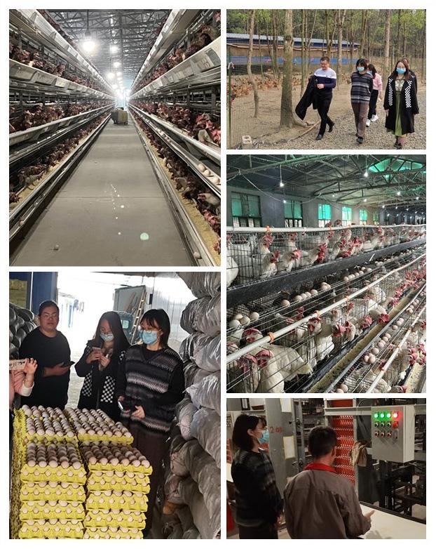 J9集团直营·(中国)官方网站