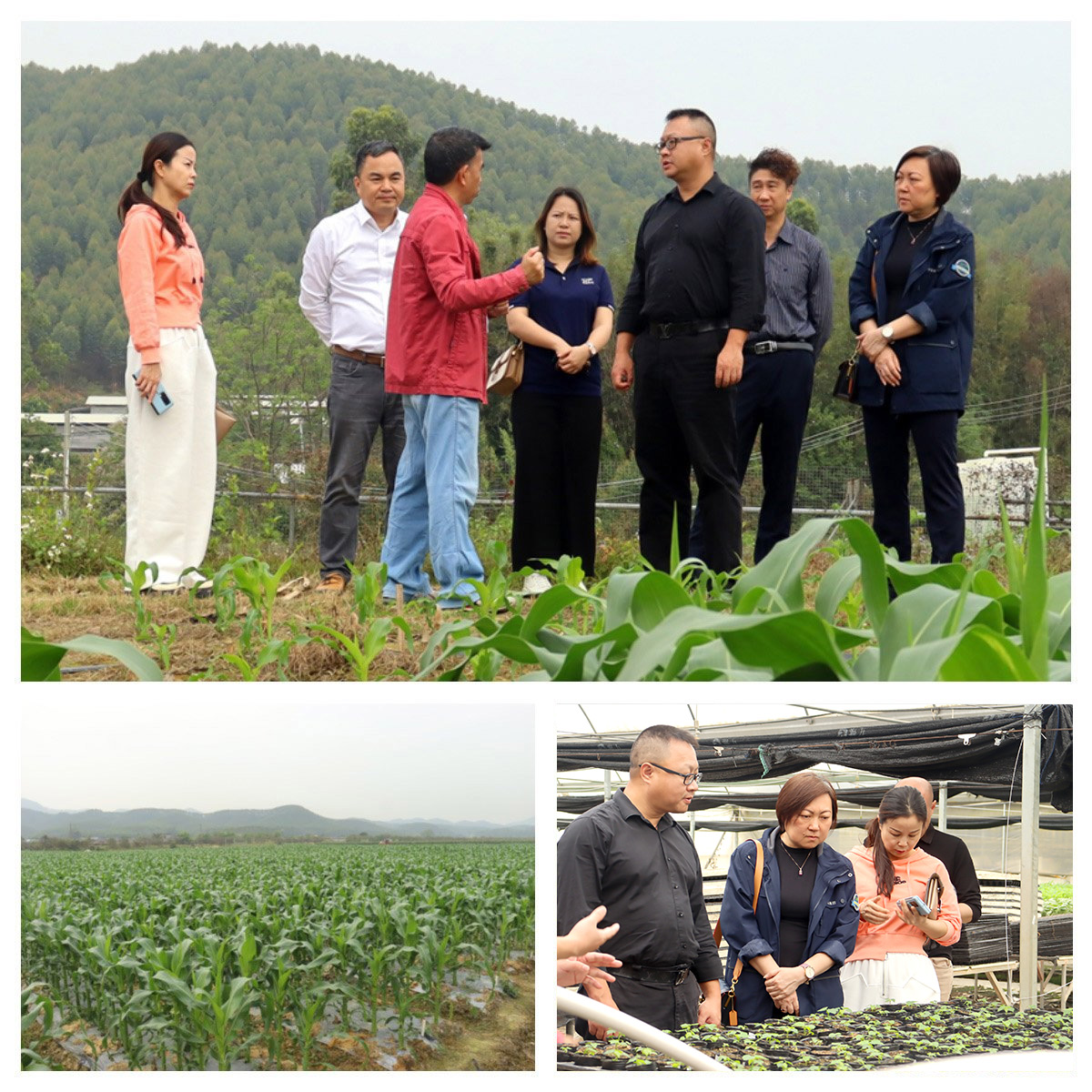 J9集团直营·(中国)官方网站