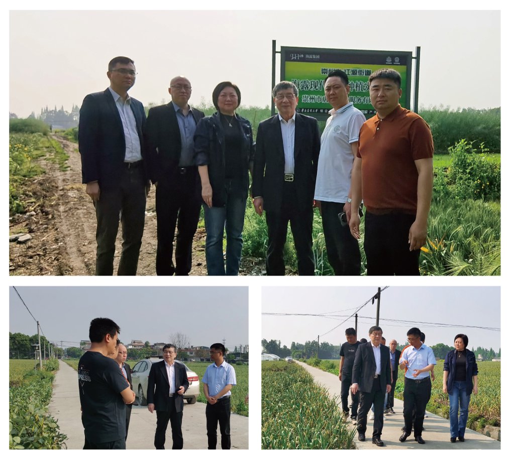 J9集团直营·(中国)官方网站