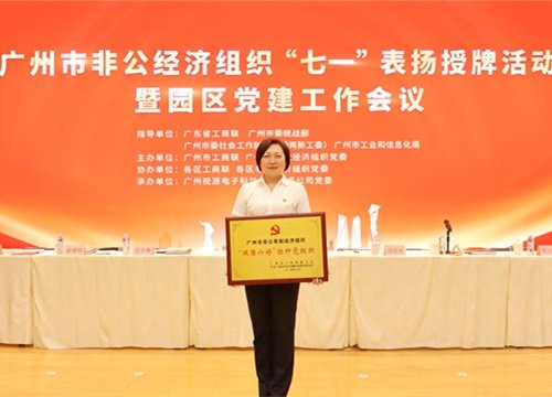标杆引领，荣誉升级！集团党支部荣膺广州市非公有造经济组织“双强六好”标