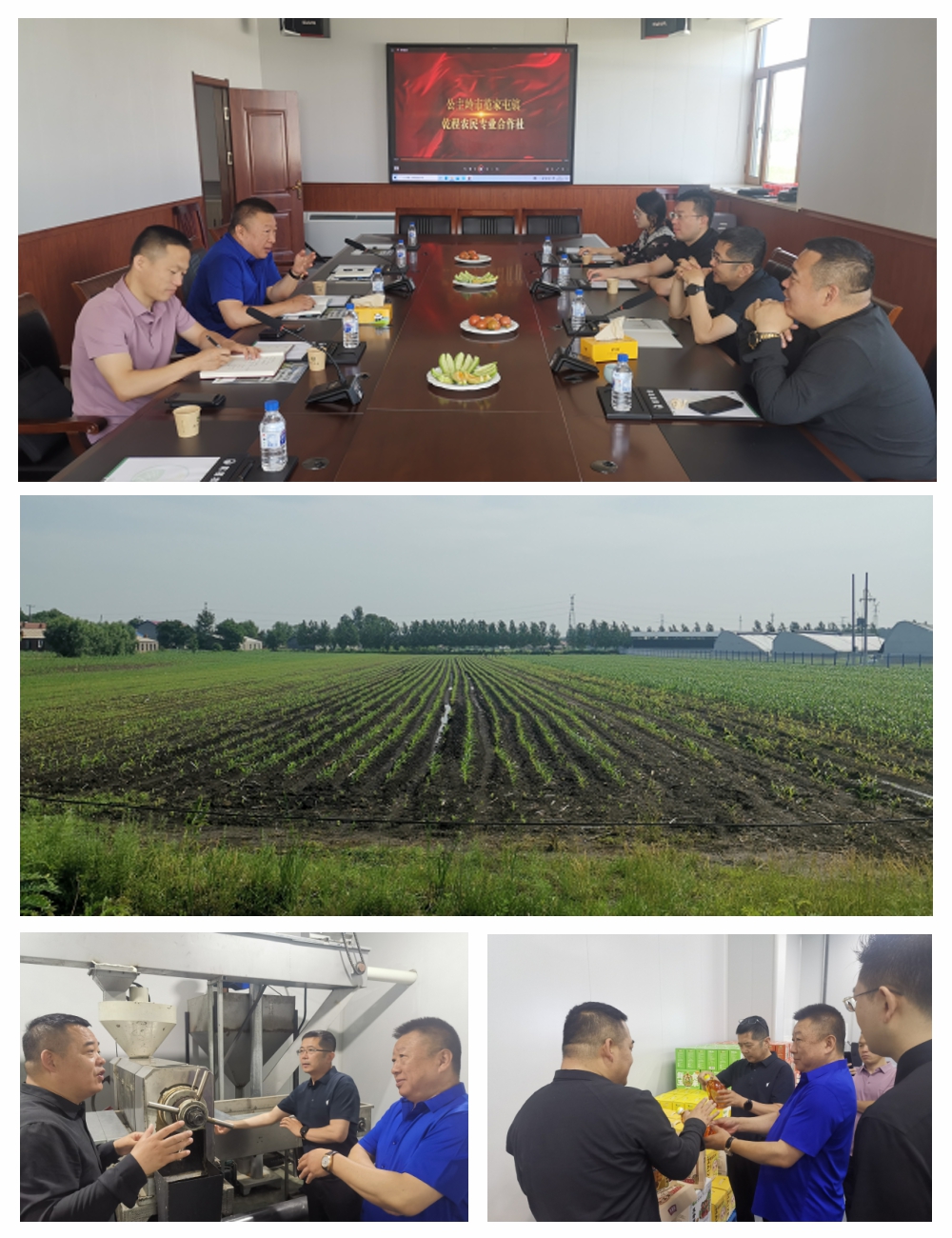 J9集团直营·(中国)官方网站