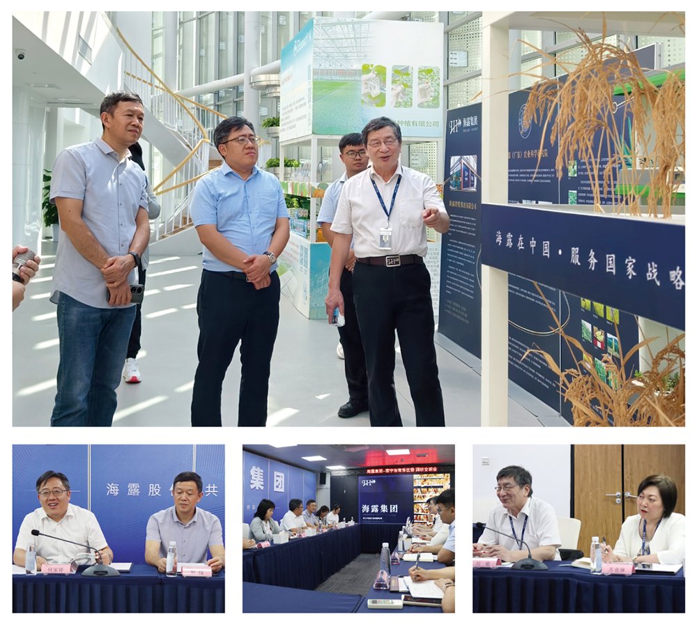 J9集团直营·(中国)官方网站