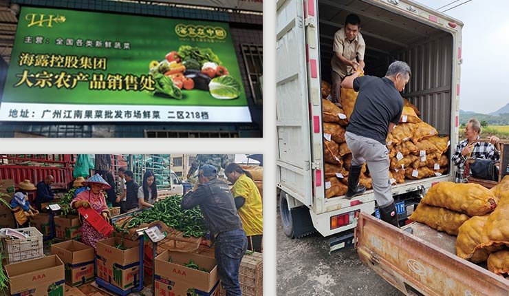 J9集团直营·(中国)官方网站