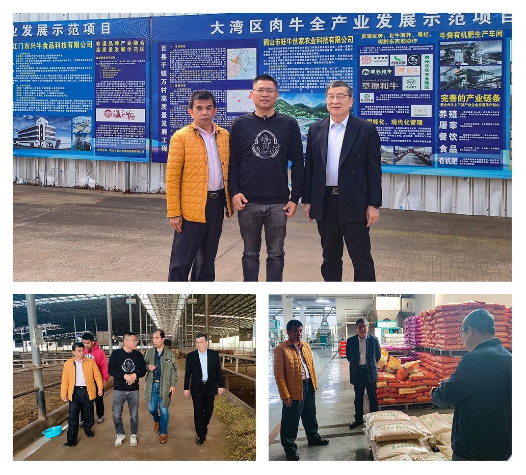 J9集团直营·(中国)官方网站