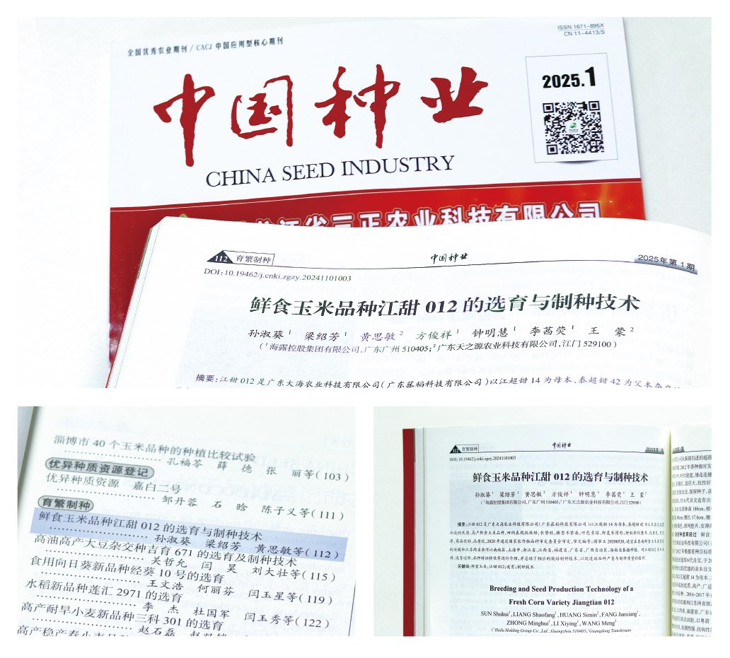 J9集团直营·(中国)官方网站