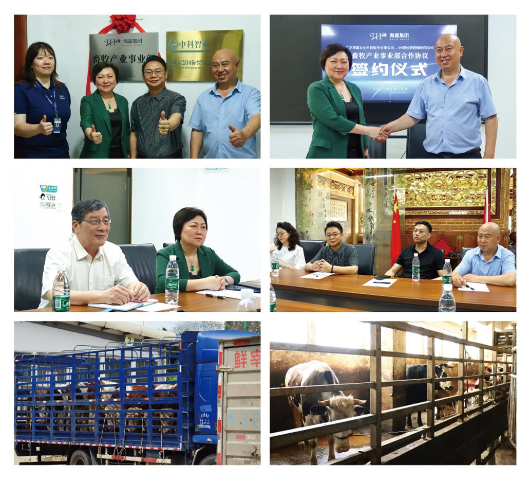 J9集团直营·(中国)官方网站