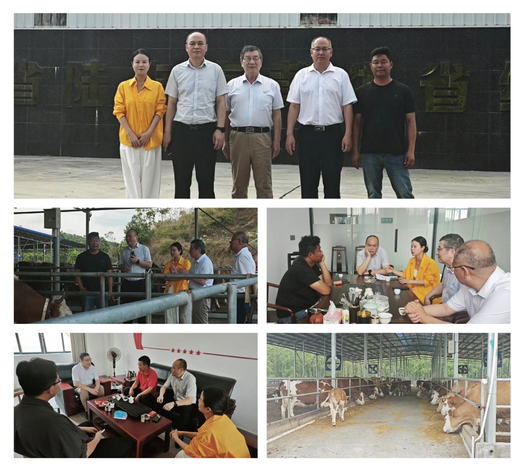 J9集团直营·(中国)官方网站