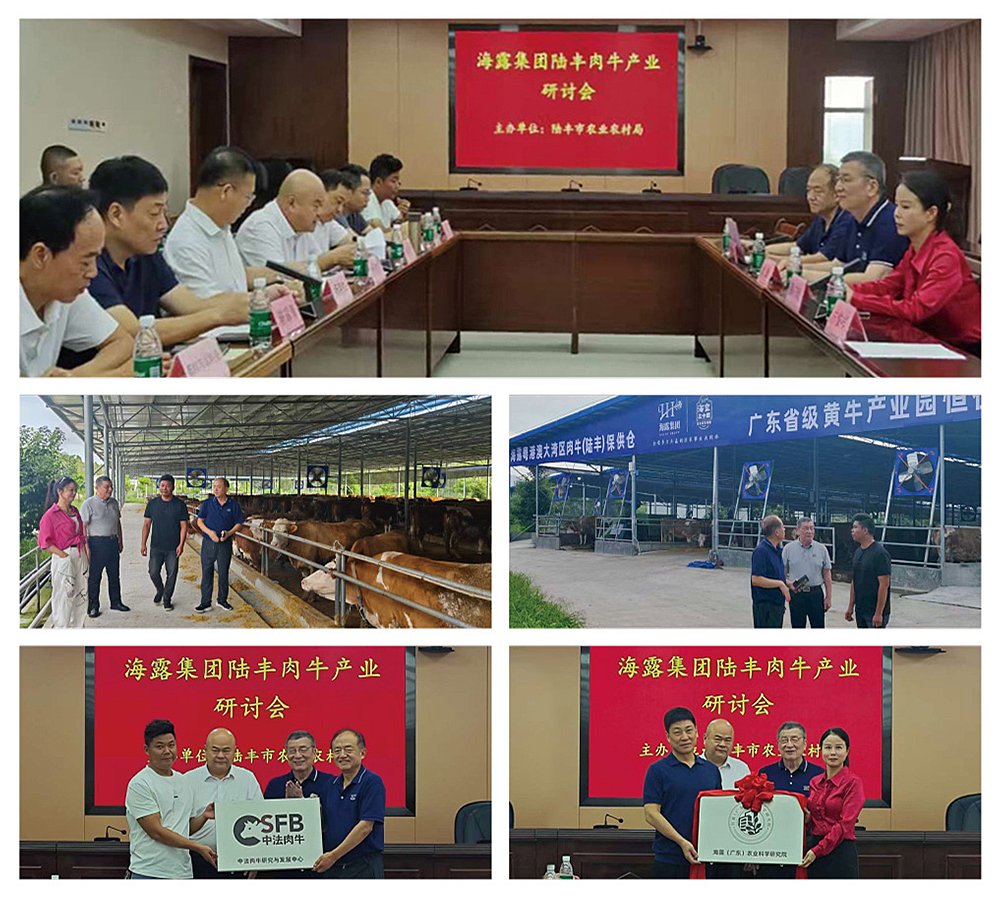 J9集团直营·(中国)官方网站