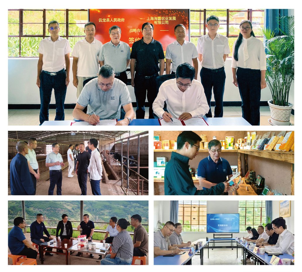 J9集团直营·(中国)官方网站