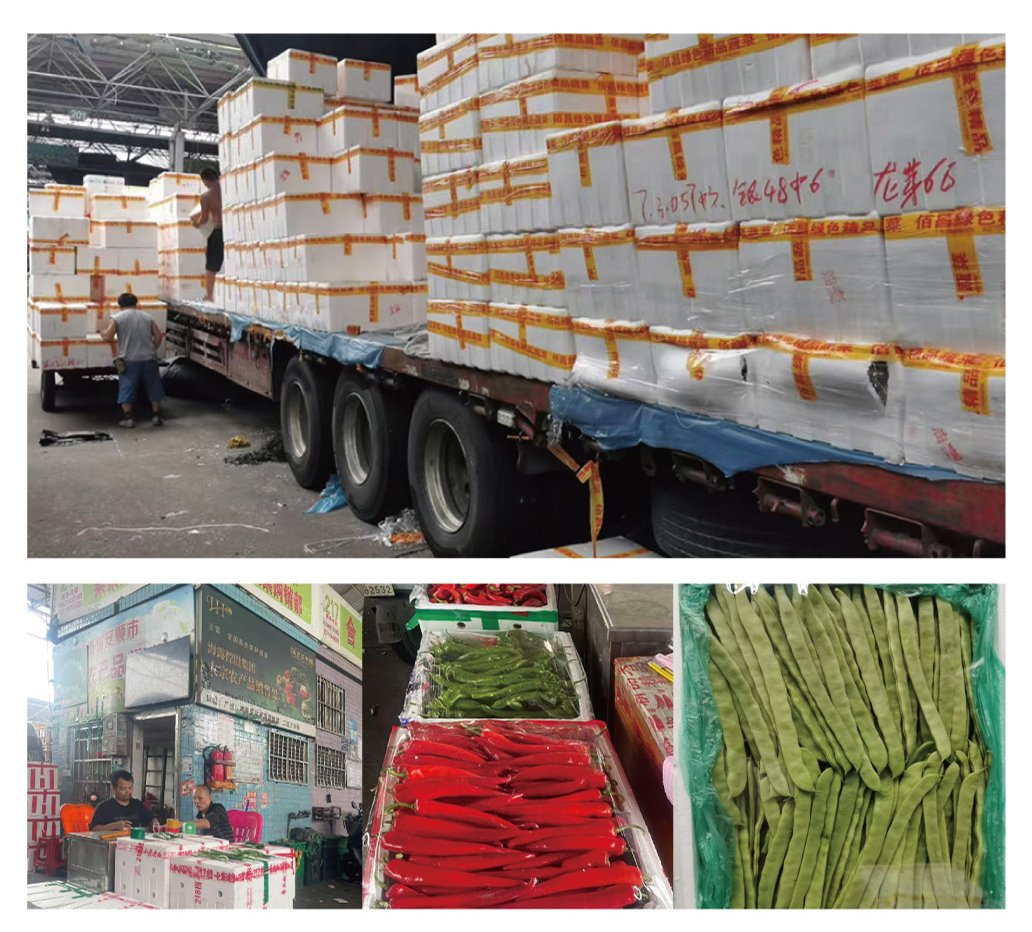 J9集团直营·(中国)官方网站